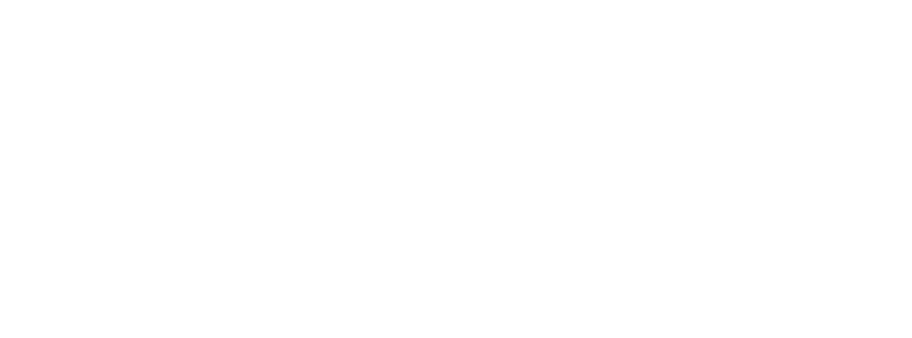 MYDEE Media